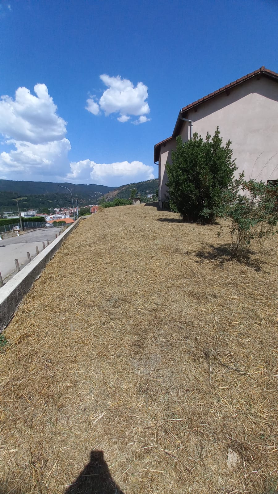 Paysagiste vers Saint-Marcellin-en-Forez