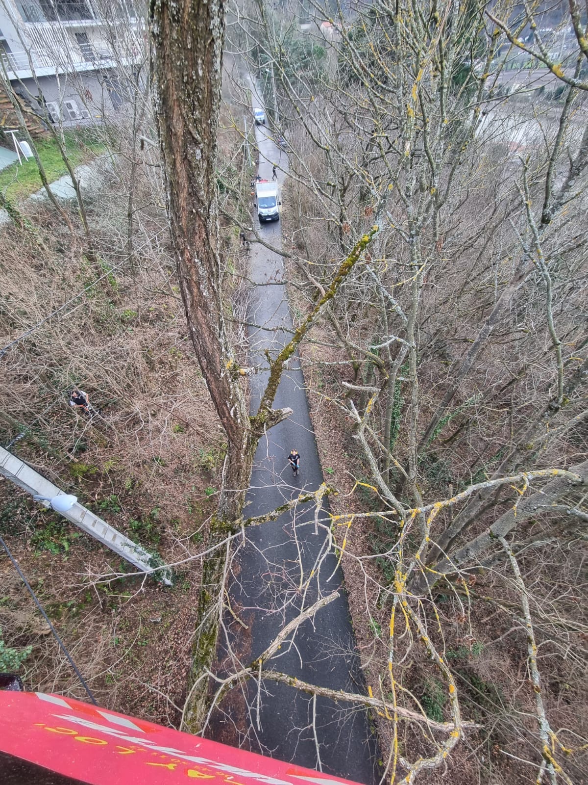 Paysagiste à L’Étrat (42)